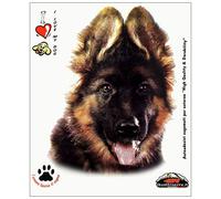 Quattroerre German Shepherd Puppy Sticker 14 x 16 cm