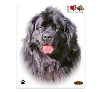Quattroerre Sticker Newfoundland Dog, 14 x 16 cm