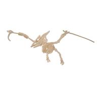 Quay Pterodactyl Woodcraft Construction Kit FSC