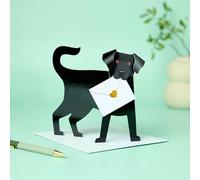 Quay side cards - Special Delivery 3D Greetings Card - Dog - Jet