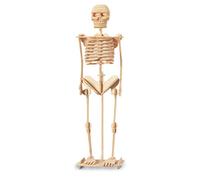 Quay Skeleton Woodcraft Construction Kit FSC