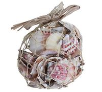 Quay Traders Mixed Sea Shells in Abaca Bag - 350 Grams (4044A)