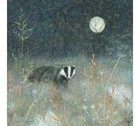 Quayside Cards Enchanted Wildlife Card - Badger
