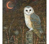 Quayside Cards Enchanted Wildlife Card - Barn Owl