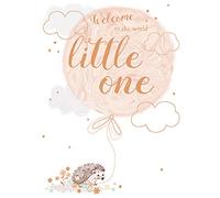 Quayside Cards New Baby Card - Hedgehog & Balloon