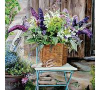 Quayside Gallery Card Collection - Beautiful Buddleia