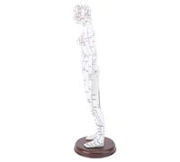 Qudinip 52cm Acupuncture Model, Human Body Acupuncture Training Model with High Definition Engraving and Sturdy Base, for Student Teaching Demonstration and Practice (Women Type)