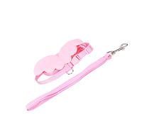 Qudinip Adjustable Duck Harness Leash for Outdoor Walking, Comfortable Design and Durable Nylon Material for Pet Ducks and Chickens, Includes Chest Strap and Traction Rope (XS)