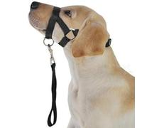 Qudinip Dog Mouth Muzzle Adjustable Halter for Safe Control Training Made of Polyester 1 Unit (M)