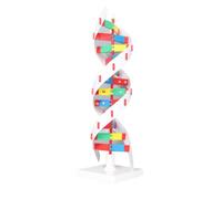 Qudinip Human DNA Model Kit, Colorful Double Spiral Assemble Toy for Educational Learning, Plastic, Ideal for Biology Classrooms