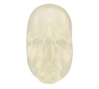 Qudinip Injection Training Head Face Model, Silicone Reusable Mannequin with Lifelike Details for Beautician Plastic Surgeon Injection Teaching