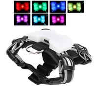 Qudinip LED Pet Harness with Adjustable Reflective Strips, USB Charging Night Safety for Dogs, Durable Polyester Construction, 1 Unit (XL)