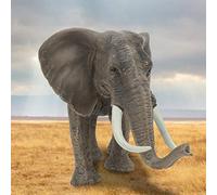 Qudinip Plastic Elephant Model Educational Toy for Kids Learning and Play 20.3x10x9.6cm Fun