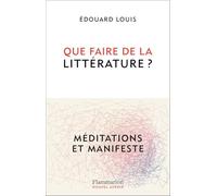 Que faire de la littérature ?: Méditations et Manifeste
