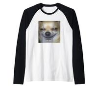 ¿Qué pasa? Cute Chihuahua Dog Blurry Spanish Funny Meme Raglan Baseball Tee