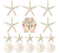 Queekay 15 Pieces Resin Starfish Sand Dollars 2.0 Inch 4.7 Inch Starfish 2.3 Inch Sand Dollars Crafts Ocean Themed Glittered Coastal Decorations for Christmas Wedding Party Decor Supplies