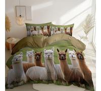 Queen 230 x 220 cm Duvet Cover 3Pcs Zipper closure, Comfortable breathable Nature Animal Photography Cute Alpaca theme Bedding - Soft Brushed Microfiber Duvet Cover Perfect for any room Coffee Brown
