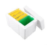 Queen Bee Mating Box， Nucleus Hive for Breeding and Harvesting， Foam Construction，Natural Bee Behavior Support，White Yellow Green，24x16.5x15 cm，Esse