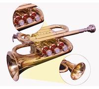 Queen Brass B-Flat Sound Pocket Trumpet Horn in Brass Finish with Mouthpiece & Carrying Hard Case, Practise Mute for Students & Advance Level, Perfect Cornet Gift For Birthday, Christmas (Gold)
