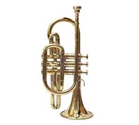 Queen Brass Beautiful Cornet Finish B Flat Great Look & Sound With Case Mp (Gold Finish)