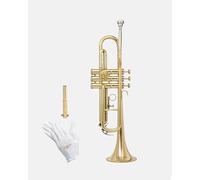 Queen Brass Trumpet Premium Kit for Beginners & Students, Brass Musical Instrument with Sturdy Case Bag, 7C Mouthpiece, Complete Cleaning Set