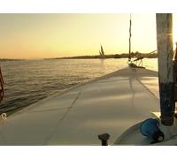 Queen of the Nile / Go Fly a Kite