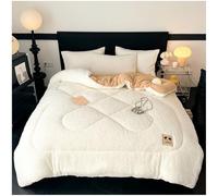 Queen Size Fleece Winter Blanket - Extra Warm Heavy Thick Plush Comforter for Bed, Super Soft Fluffy Quilt for Cold Weather