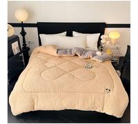 Queen Size Fleece Winter Blanket - Extra Warm Heavy Thick Plush Comforter for Bed, Super Soft Fluffy Quilt for Cold Weather