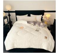 Queen Size Fleece Winter Blanket - Extra Warm Heavy Thick Plush Comforter for Bed, Super Soft Fluffy Quilt for Cold Weather