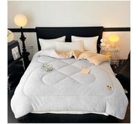 Queen Size Fleece Winter Blanket - Extra Warm Heavy Thick Plush Comforter for Bed, Super Soft Fluffy Quilt for Cold Weather