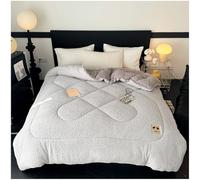 Queen Size Fleece Winter Blanket - Extra Warm Heavy Thick Plush Comforter for Bed, Super Soft Fluffy Quilt for Cold Weather