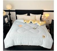 Queen Size Fleece Winter Blanket - Extra Warm Heavy Thick Plush Comforter for Bed, Super Soft Fluffy Quilt for Cold Weather