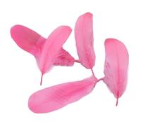 Queenbox 100 Pcs 5.11-7.08 inch Natural Goose Feathers, Solid Color Fluffy Goose Feather Decorative Swan Feathers Plume for DIY Crafts Cosplay Dream Catcher Costume Wedding Party Decoration, 18