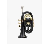 QUEENBRASS NEW POCKET TRUMPET BLACK/BRAS COLORED FINISH Bb GOOD PITCH PROFFESIONALS W/CASE