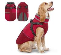Queenmore Dachshund Coat With Harness, Waterproof Winter Coat, Red, L | Windproof Fleece Dog Jacket For Rainy & Snowy Weather Reflective For Night Walks, For Labrador Golden Retriever Boxer Bulldog