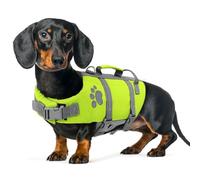 Queenmore Dachshund Life Jacket, Lightweight,Adjustable, with Rescue Handle Dring, Swimming, Safety Vest For Sausage Dog,Corgi,Beagle,French Bulldog（Green, M）