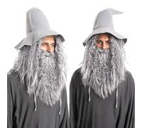 QUEENTAS Mens Wigs Long Curly Grey Wig and Beard Cosplay Halloween Character Fake Wizard Wig Costume Fancy Dress Christmas Party (Grey)