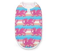 Queer Welsh Trans Dragon Dog Shirt for Dogs & Cats Soft Breathable Pet Vest T Shirt Lightweight Dog Tank Top L