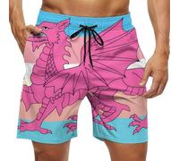Queer Welsh Trans Dragon Men's Swim Shorts & Trunks Leisure Beach Board Quick Dry Beachwear