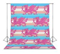 Queer Welsh Trans Dragon Photo Backdrop Polyethylene Studio Background for Photography Video Broadcast Photoshoot