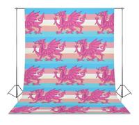 Queer Welsh Trans Dragon Photo Backdrop Polyethylene Studio Background for Photography Video Broadcast Photoshoot