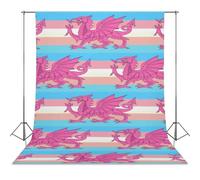 Queer Welsh Trans Dragon Photo Backdrop Polyethylene Studio Background for Photography Video Broadcast Photoshoot