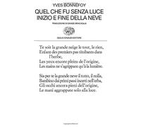 Quel che fu senza luce. Inizio e fine della neve (Collezione di poesia)
