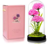QUELIEN Carnation Flowers Gifts for Mom,Pink Artificial Carnation in Glass Dome with Led Light for Mother's Day,Birthday,Christmas (Pink)