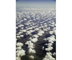 QUEM É VOCÊ?: UM GUIA PARA A LIBERDADE