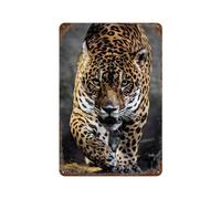 Queosmpei Jaguar Animal Wall Decor Art Metal Tin Poster Modern Home Decor Art Metal Poster Home Bar Shop Decorations Vintage Sign Style 30x20cm