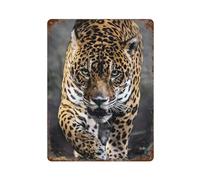 Queosmpei Jaguar Animal Wall Decor Art Metal Tin Poster Modern Home Decor Art Metal Poster Home Bar Shop Decorations Vintage Sign Style 40x30cm