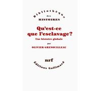Qu'est-ce que l'esclavage ?: Une histoire globale