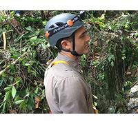 Quest For The Gold Rush Fortune