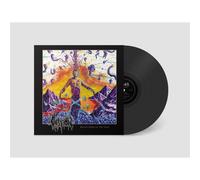 Question - Reflections of the Void [VINYL]